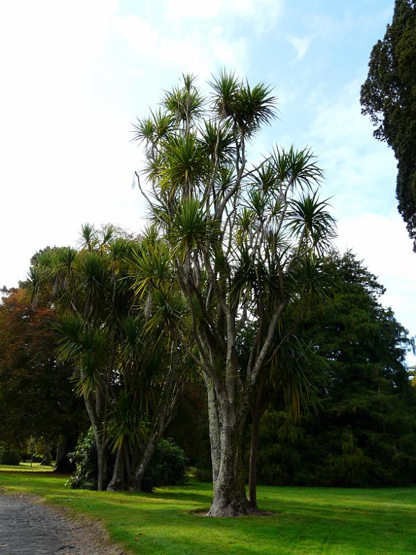 Johnstown Castle - 028.JPG
