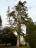 Johnstown Castle - 033