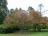 Johnstown Castle - 048