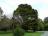 Johnstown Castle - 050
