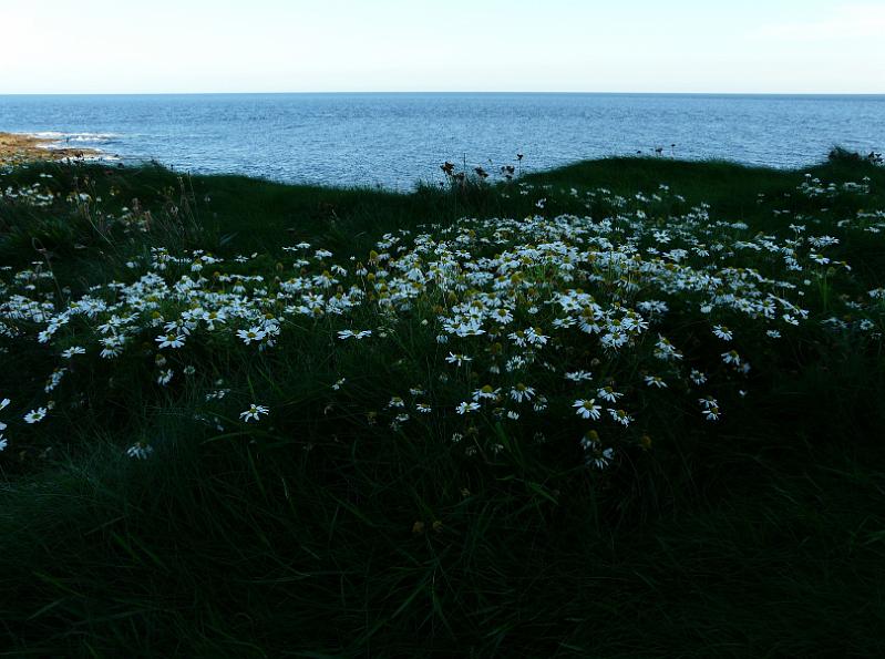 Latarnia Hook - 070.JPG
