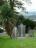 New Ross - 077