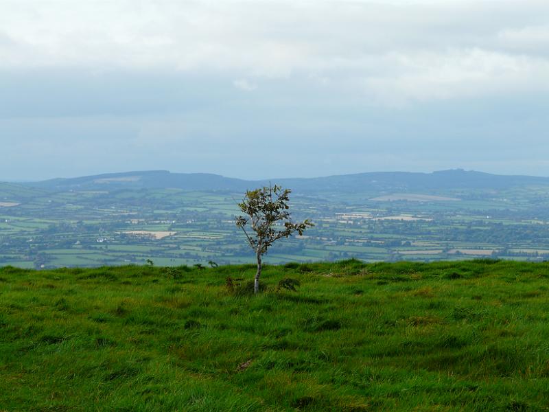 Slievecoiltia- 014.JPG
