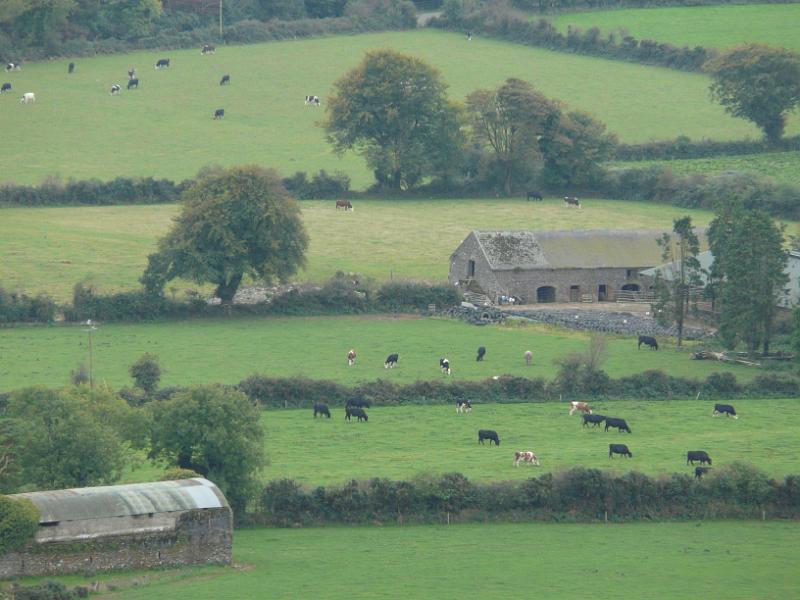 Slievecoiltia- 050.JPG