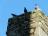Tintern Abbey - 019