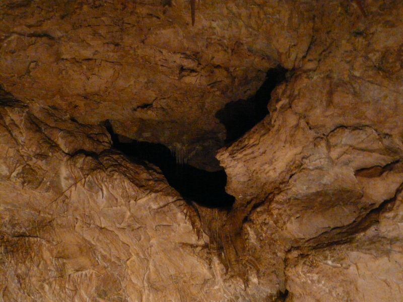 JaskiniaNiedzwiedzia-094.jpg