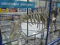 JaskiniaNiedzwiedzia-005