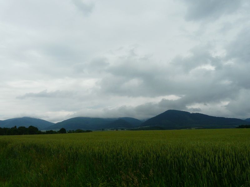 Miedzygorze-019.jpg