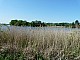 Ostrow_lednicki-004.jpg