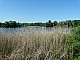 Ostrow_lednicki-005.jpg