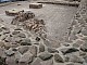 Ostrow_lednicki-019.jpg