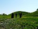 Ostrow_lednicki-037.jpg