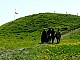 Ostrow_lednicki-039.jpg
