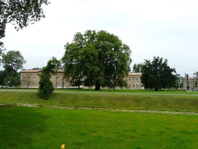 Rydzyna-035.jpg