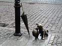 Torun-008