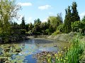 Dobrzyca-004