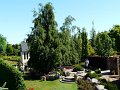 Dobrzyca-048