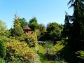 Dobrzyca-064