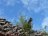 StareDrawsko-Drahim-006