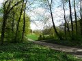 Ostromecko-011