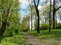 Ostromecko-018