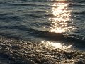 Sianozety-032