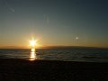 Sianozety-039
