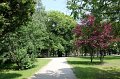 Inowroclaw-027