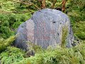Lichen-049