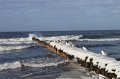 Ustka-005