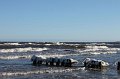 Ustka-016